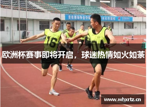 欧洲杯赛事即将开启，球迷热情如火如荼